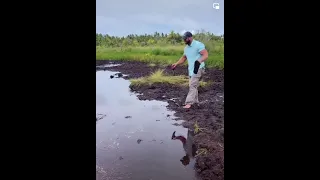 Puddle Jump Gone Wrong: Watch this Man Vanish into Thin Air (Mud)