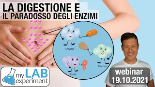 La DIGESTIONE e il Paradosso degli Enzimi