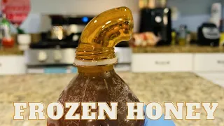 FROZEN HONEY TREND | Let's try tiktok frozen honey trend #shorts