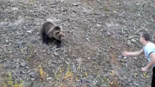 медведица пришла в гости покушать - 3.Камчатка,Россия(bear came to visit out - 3.Kamchatka, Russia)