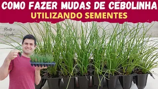 COMO GERMINAR AS SEMENTES DE CEBOLINHA E FAZER MUDAS PERFEITAS PARA PLANTAR NA HORTA DE CASA (Ep72)