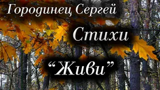 Стихи Владимир Набоков "Живи" Читает: Городинец Сергей