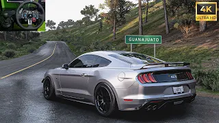 Ford Mustang GT  | Forza Horizon 5 | Logitech G29 Stering Wheel Plus Shifter Gameplay