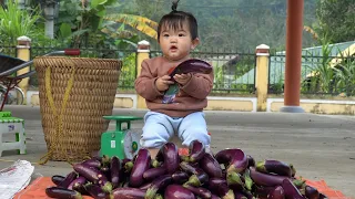 Harvest long eggplants and sell them at the market. Buy pots to plant roses.