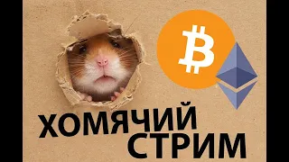 БИТКОИН 50000!!! КОГДА КОРРЕКЦИЯ? КАКИЕ АЛЬТЫ БРАТЬ?? разбираемся вместе с @CryptoHamster