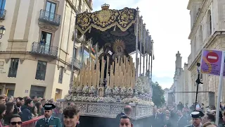 Regreso de Dolores y Misericordia en la jornada del Martes Santo | Semana Santa Sevilla 2024