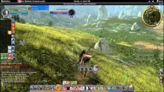 Lord of the Rings Online: Barrow Downs Bounties.