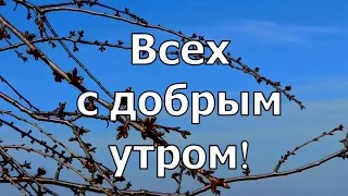 Будьте здоровы! Музыкальная открытка с добрым утром