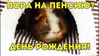 ДЕНЬ РОЖДЕНИЯ ТОЛИКА 😍 ТОЛИКУ 3 ГОДА 👍 ПОКУПКИ И ПОДАРКИ NEWCHIC