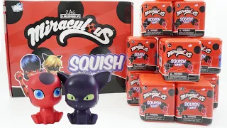 Miraculous Ladybug Kwami Squish'ums Squishy Toys Full Set Unboxing