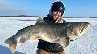 Two Giant Lake Trout Ice FIshing!
