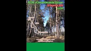 Video 261: Велогонка MTB по пескам Херсонской области ХСМ "Олешківським Лісом" 16.03.2019