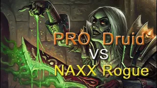 Druid vs Rogue. WoW Classic Druid PvP