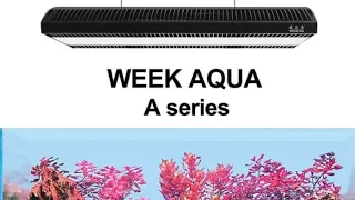 Week Aqua LED lights