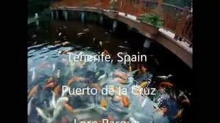 Loro Parque Zoo Canary Islands Tenerife 01 11 2014