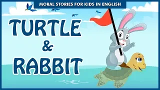 Turtle & Rabbit | Secret of Winning Together | Bedtime Stories | English Moral Stories Ted And Zoe