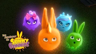 Conejitos soleados en la luna | SUNNY BUNNIES | Dibujos animados para niños | WildBrain Niños