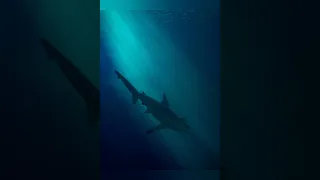 Deep Ocean scary sound 01