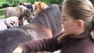 Ferien auf dem Reiterhof Budde in Haltern am See