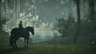 🎵 Shadow Of The Colossus -- 1 Hour Music 🎶