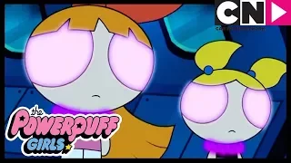 Суперкрошки | Самая крутая девочка в школе | Cartoon Network