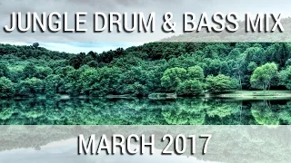 ► Jungle Drum & Bass Mix - March 2017