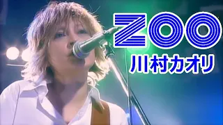 川村カオリ／ZOO ／ライブ : re-birth 20090123