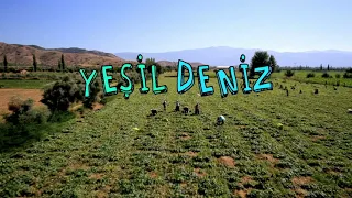 GEL ARTIK ( ENSTRUMANTEL )  - YEŞİL DENİZ DİZİSİ FON MÜZİĞİ TELİFSİZ