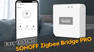 Pairing Tutorial of Zigbee Bridge Pro