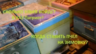 Пчеловодство | Когда ставить пчел в омшаник? Перевозим пчёл на зимовку.