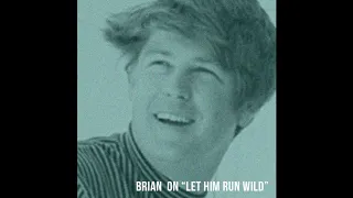 Brian Wilson on "Let Him Run Wild"