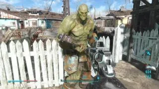 Fallout 4 how to equip companions with armor and weapons