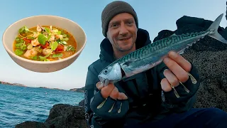 MACKEREL FISHING WITH METAL JIGS | CATCH & COOK | FISHERMANS SOUP