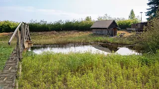 A year ago, We Started developing this Unused Land - Newly hatched ducklings