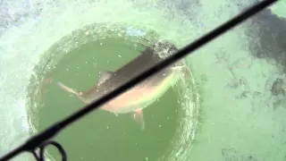 Crazy Russian Trout Fishing