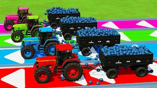 LOAD & TRANSPORT BLUEBERRIES with JOHN DEERE TRACTORS CHALLENGE - Farming Simulator 22