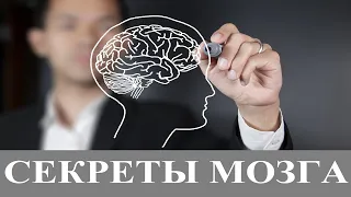 Тайны и секреты мозга. Документальный фильм