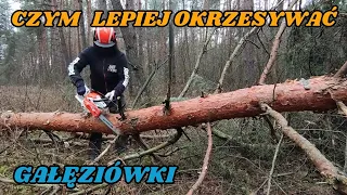 Najlepsza pilarka do lekkiego okrzesywania.