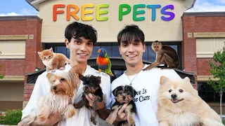 WE OPENED A FREE PET STORE!