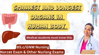 General Information || Smallest & Largest Organ In Human Body || Cell | Liver | Stomach | Intestine
