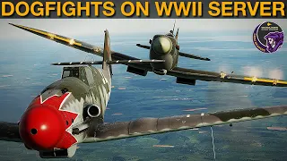Super Fun Spitfire Flight On WWII Public Server | DCS WORLD