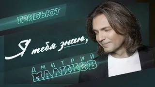 Дмитрий Маликов - Я тебя знаю (Дмитрий Маликов Трибьют)