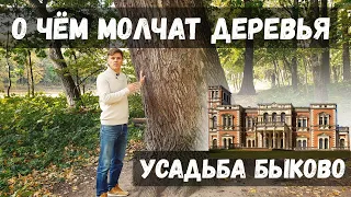 Архитектура прошлого. Усадьба Быково