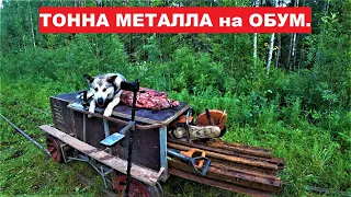 Отановились наобум и накопали ТОННУ МЕТАЛЛА. Северная МАЛИНА. Ночь в ТАЁЖНОЙ ИЗБЕ.