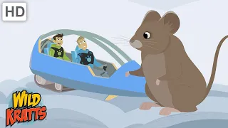 Voles and Other Cold Climate Creatures [Full Episodes] Wild Kratts