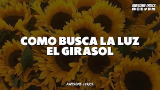 Jay Kalyl - Girasol 🌻 | Video Con Letra (Nuevo Álbum Recarga 2023)