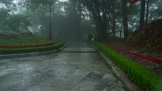 Hypnosis that instantly falls asleep with heavy rain on a rainy walkway, the perfect sound of rain