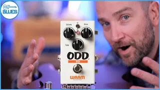 The OCD is Reborn! Warm Audio ODD Box V1 Pedal Review