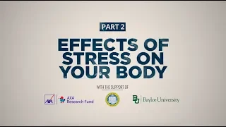 Stress and Your Health | Part 2: The Effects of Stress on Our Body | AXA Research Fund