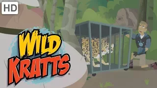 Wild Kratts - Stop Those Villains! (15+ Minutes!)